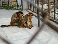 -哈尔滨北方森林动物园