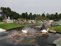 -罗红摄影艺术馆