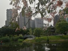 -四海公园(南山区)