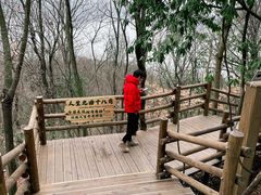 -天目湖山水园