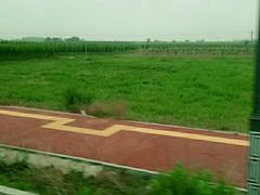 -明月麻辣香锅(昌黎县东大市场店)