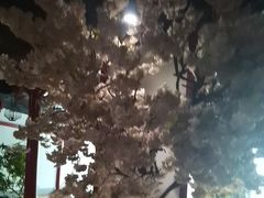 -圣和汤泉•汗蒸温泉自助