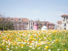 -歌斐颂巧克力小镇