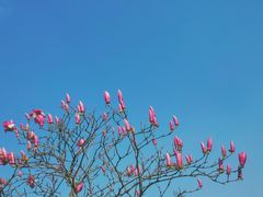 -钟山体育运动公园