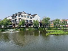 -金山嘴渔村