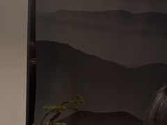 -上足·影院足道·SPA(红岭店)