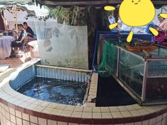 -稻香村鱼庄