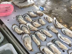 -大湾区中央湿地公园-十九涌