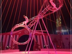 -无锡动物园·太湖欢乐园