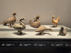 -四川博物院