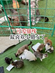 -萌宠亲子动物乐园(槐房万达店)