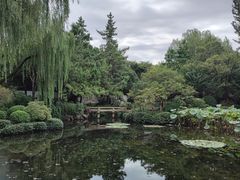 -秋霞圃