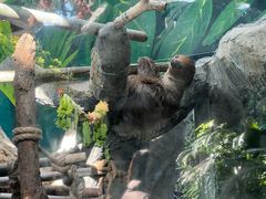 -鄂尔多斯野生动物园