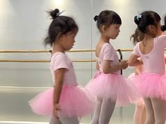 -苏菲艺术教育·芭蕾·钢琴(宝安碧海中心校区)