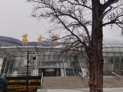 -北京植物园-展览温室