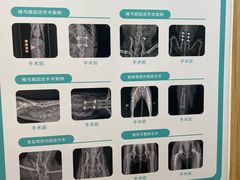 -千城康桥宠物医院CT影像·骨科·心脏专科中心(厚街分院)