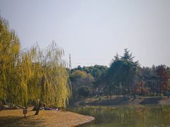 -堤角公园