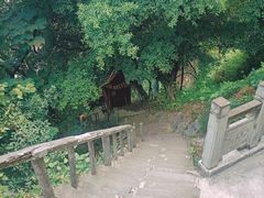 -龙泉洞(沙坪坝区)
