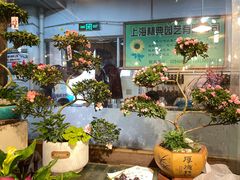 -双季花艺园艺市场(浦东店)
