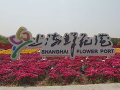 -上海鲜花港