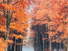 -尚湖风景区