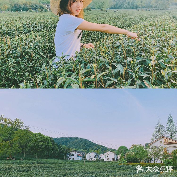 杭州小众景点｜名山名村名茶——龙井村