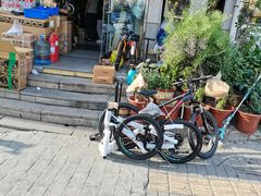 -道路口单车爱瓦士dahon大行