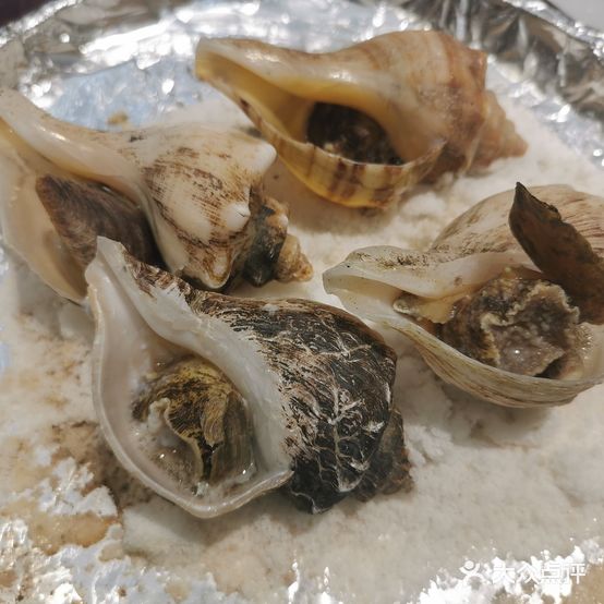 九龙门海鲜工坊