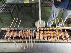 -尚庄度假村·庭台树下·户外烧烤·团建CS·轰趴营地(上庄水库店)