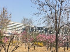 -首都医科大学附属北京天坛医院