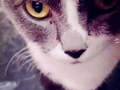 -MIKAKU(万达广场上海宝山店)