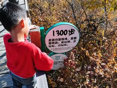 -大岭沟猕猴桃谷风景区