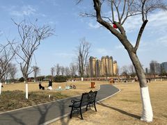 -府河摄影公园