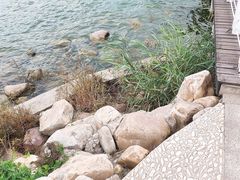 -天津金海湖