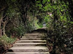 -高榜山景区