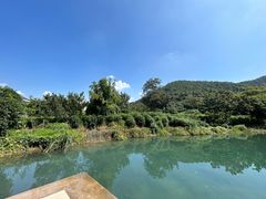 -树山生态村
