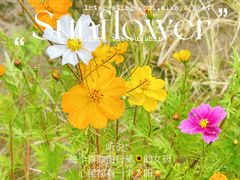 -周口店坡峰岭风景区