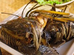 -多哥水傣味餐厅(司马巷店)