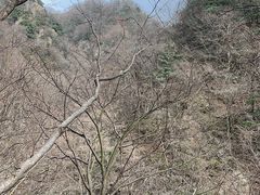 -王顺山国家森林公园