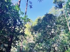 -狼山风景名胜区