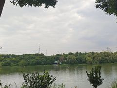 -羊山湖公园