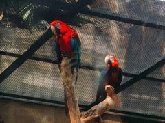 -大连森林动物园