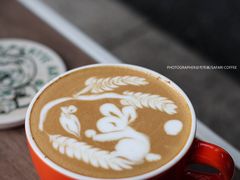 -SAFARI COFFEE
