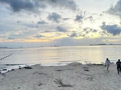 -杨梅坑