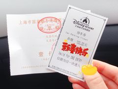 -迪士尼乐园停车场