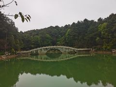 -铁山坪森林公园