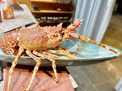 -月下料理(楷林IFC店)