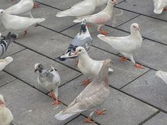 -华谊兄弟（长沙）电影小镇