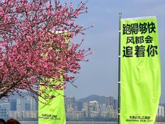 -龙湖杭州滨江天街