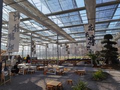 -金银湖国家城市湿地公园